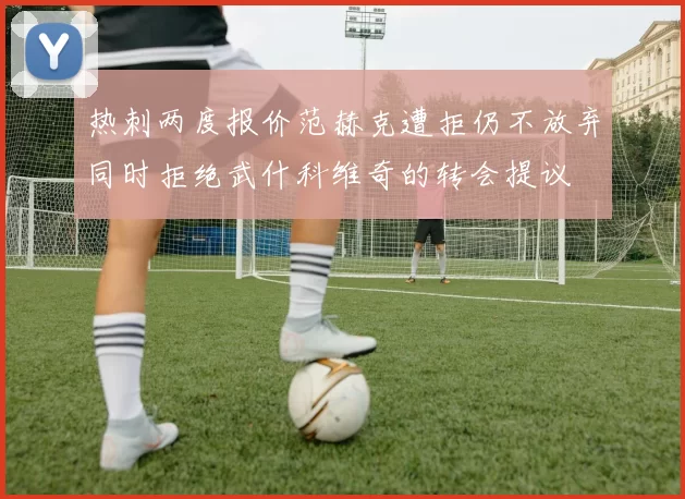热刺两度报价范赫克遭拒仍不放弃同时拒绝武什科维奇的转会提议